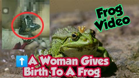 frog in vagina video|Video Of Frog Coming Out Of A Woman’s Vag!na Leaves。